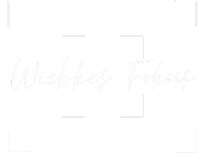 Wiebkes Fokus